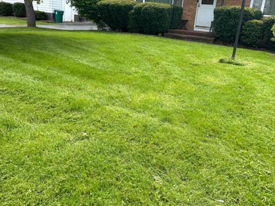 Lawn Care service in Irondeqoit, 14622