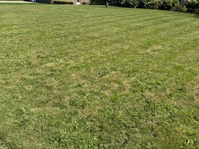 Lawn Care service in Farmingdale, 11735