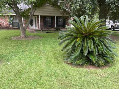 Lawn Care service in Gross Tete, 70740