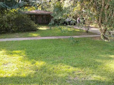Lawn Care service in Plaquemine, 70764