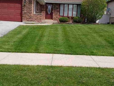 Lawn Care service in Huntley, 60142