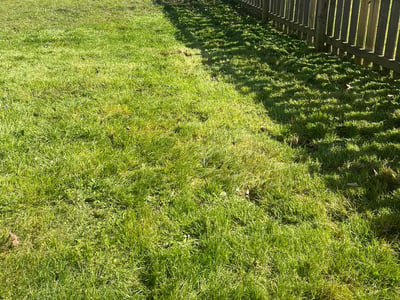 Lawn Care service in Indian Trail, 28079