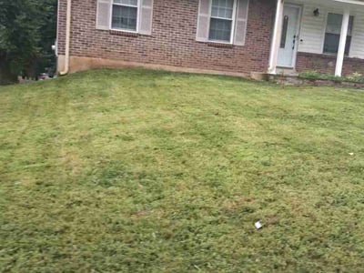 Lawn Care service in High Ridge, 63049