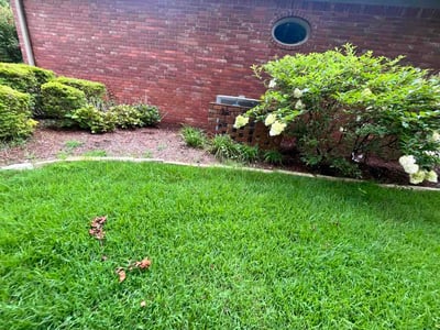 Lawn Care service in ,