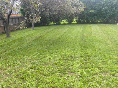 Lawn Care service in Penfield, 14526