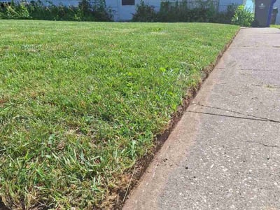 Lawn Care service in Milpitas, 95035