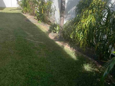 Lawn Care service in Vista, 92083