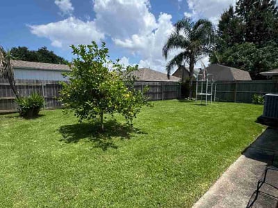 Lawn Care service in Metairie, 70001