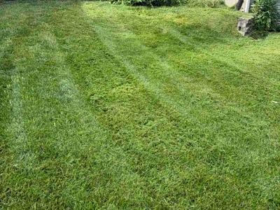 Lawn Care service in Hazelwood, 63042