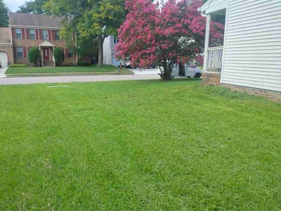 Lawn Care service in Bakersfield, 93301