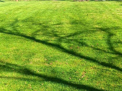 Lawn Care service in Clover, 29710