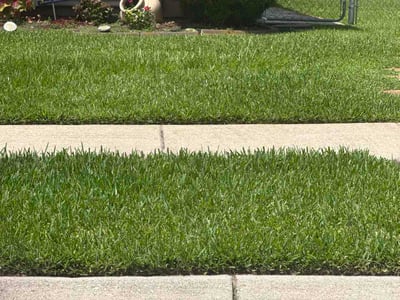 Lawn Care service in Marrero, 70072