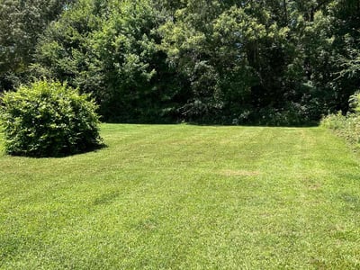 Lawn Care service in Sun City West, 85375