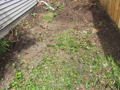 Lawn Care service in Clive, 50325