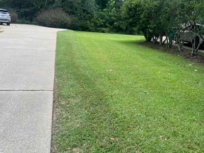 Lawn Care service in Mandeville, 70448