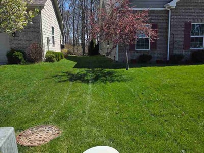 Lawn Care service in Noblesville, 46060