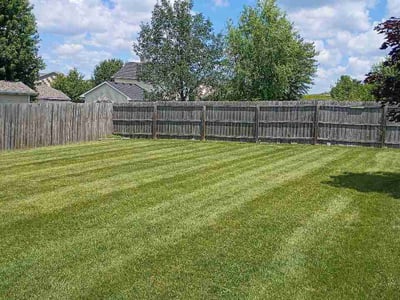 Lawn Care service in Clive, 50325