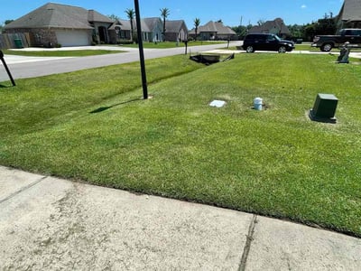 Lawn Care service in Hammond, 70401