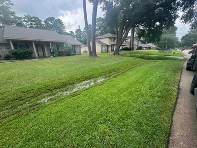 Lawn Care service in Taft, 93268