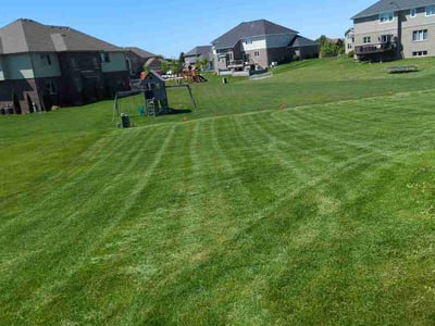 Lawn Care service in Frankfort, 60423