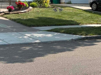 Lawn Care service in Williamsville, 14221
