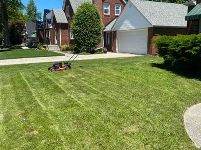 Lawn Care service in Williamsville, 14221