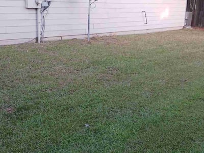 Lawn Care service in Tarzana, 91356