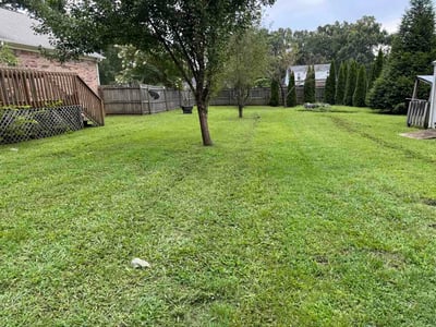 Lawn Care service in Toney, 35773