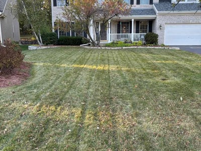 Lawn Care service in Fox Lake, 60020