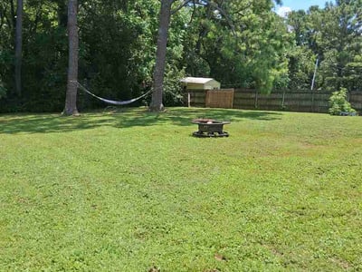 Lawn Care service in Toney, 35773