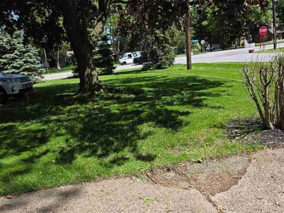 Lawn Care service in North Tonawanda, 14120