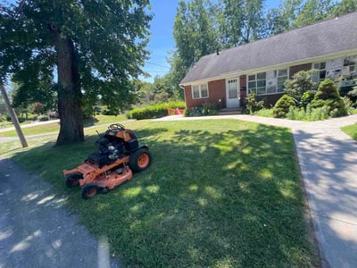 Lawn Care service in Albany, 12207