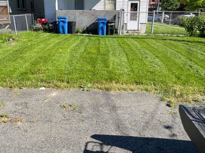 Lawn Care service in Albany, 12207