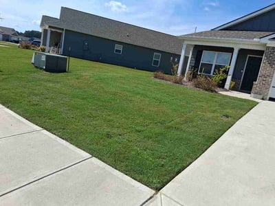Lawn Care service in Winder, 30680