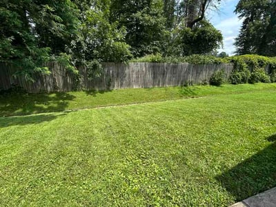 Lawn Care service in Taylorsville, 40071