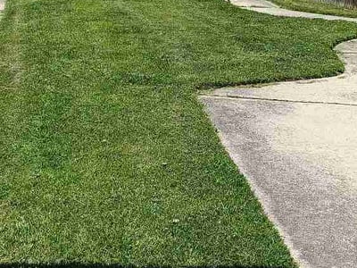 Lawn Care service in Essex, 21221
