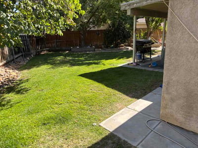 Lawn Care service in California City, 93505