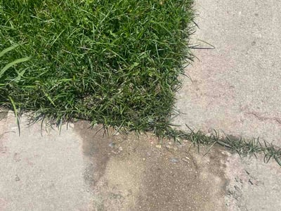 Lawn Care service in California City, 93505