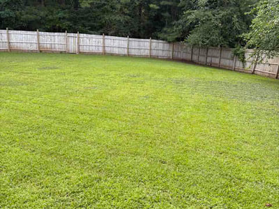 Lawn Care service in Dunwoody, 30338