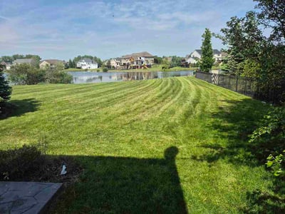 Lawn Care service in Cheektowanga, 14225