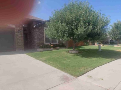 Lawn Care service in Sahuarita, 85629