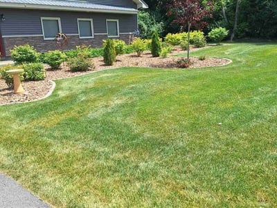 Lawn Care service in Canastota, 13032