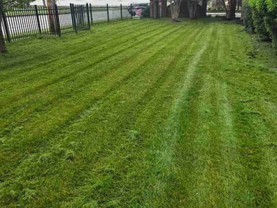 Lawn Care service in Owings Mills, 21117