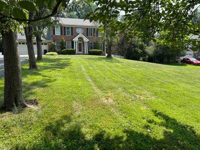 Lawn Care service in Owings Mills, 21117