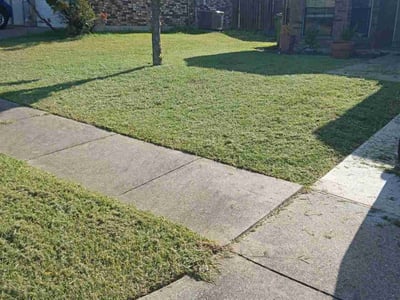Lawn Care service in Coolidge, 85128