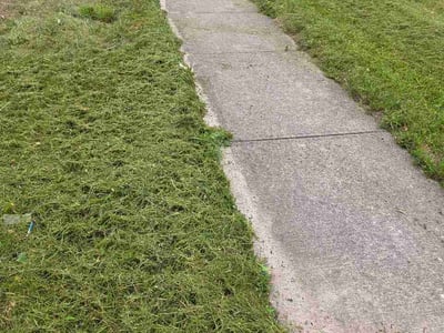 Lawn Care service in Victor, 14564