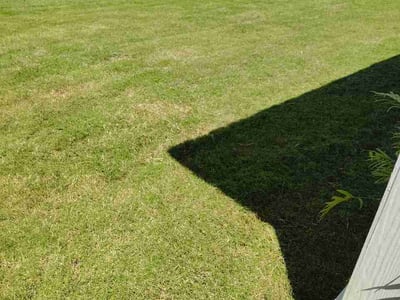 Lawn Care service in Big Bear Lake, 92315