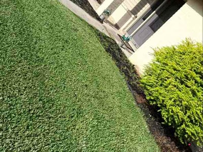 Lawn Care service in Kenner, 70062