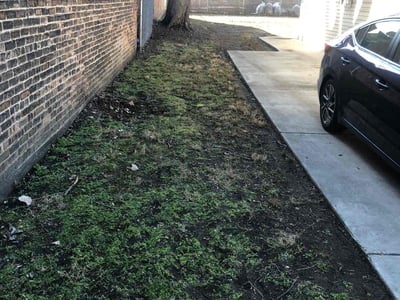 Lawn Care service in Hanover Park, 60133