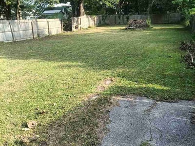 Lawn Care service in Camillus, 13031